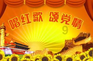 原始丛林找星星