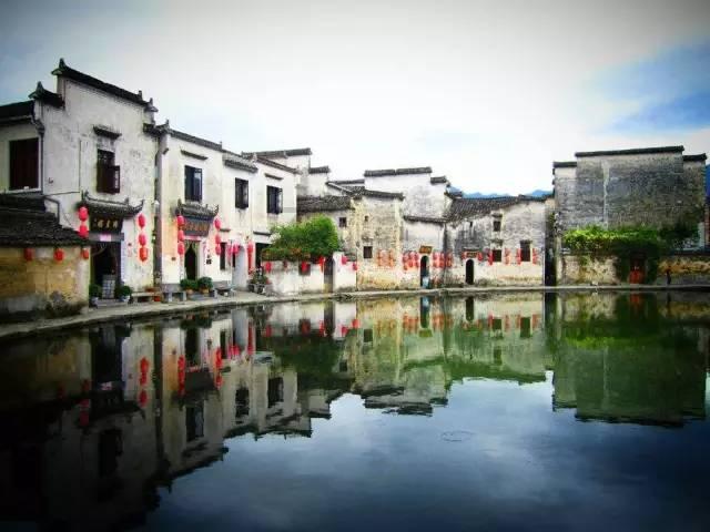 拯救机灵鸟